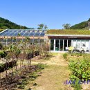 봉하농촌 체험마을 이미지