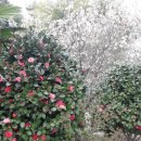 청우민박 이미지