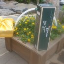 박병일농장 이미지