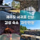 자단연원 | 제주 서귀포 독채펜션 대형 온수풀이 있는 감성숙소 자단연원