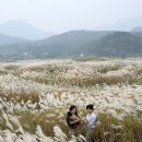 수안보약국 이미지