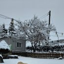 올림푸스원 이미지