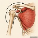 성동구민종합체육센터 이미지