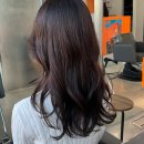 달리살롱 | 군자역 미용실 차분히살롱 얼굴형 헤어컨설팅 중단발 CS컬펌 후기