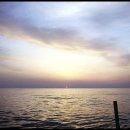 다시와요민박 이미지