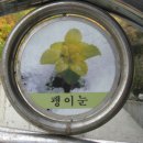 고한초등학교 이미지