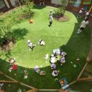 새들유치원 이미지