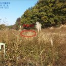 남구-38 이미지