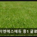 케이엔에스에듀 중1 글로벌관 내신과 수능 기초를 다지는 곳