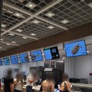 두아파크 | 뉴질랜드 이케아에서는 파블로바를 드세요