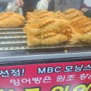 고향꼬치미 이미지