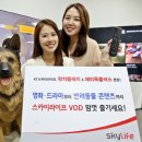 (주)스카이라이프티브이 이미지