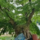 주천1리마을회관 이미지