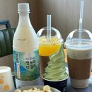 보리수하 | 서귀포 가파도 전망대 카페 보리호떡 먹고 청보리 막걸리