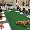 백산메디칼 이미지