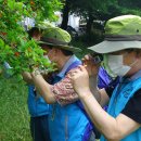 유덕초병설유치원 이미지