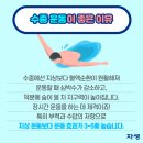 논산시청 이미지