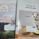 히끄네 농장 & 스테이 오조 | 제주 고양이 히끄 도서와 소식