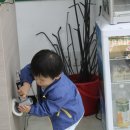신동광택