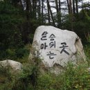 기와집건강원