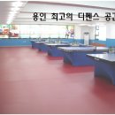 금화당구장 Daum카페
