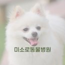 미소로 동물병원 이미지