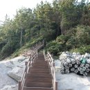 시산출장소 | 고흥 시산도(비봉산)
