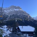 참깨비마을 | 신혼여행 기록 7ㅣ🏔️그린델발트 마을 산책, 선스타호텔 조식, 벨베데레 야외 자쿠지, 화덕피자 맛집...