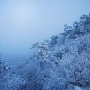 지리산서바이벌 이미지