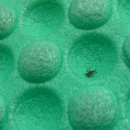 샘터목장 이미지