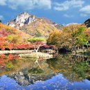백양사 - 논산시 중앙로492번길 3-1 | 백양사