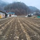 충주시 수안보면 수안보역인근땅 전3102㎡ 3.3㎡당 40만원 이미지