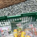 펫츠런 애견 이미지