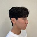 헤어담당 네이버블로그