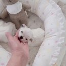 알곡켄넬 이미지