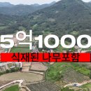 성심부동산중개인 이미지