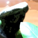 현리천 Daum카페