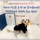 일산애견호텔 강아지 유치원 미용 맘바이 일산점 이미지