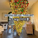 애월담아 | 제주도 애월 카페 마마롱, 인생샷 x 인생 디저트! 귤따기 체험까지 완벽