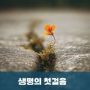 명지항외과의원 이미지