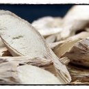 송담3로 이미지