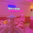 베트남힐링케어핑크베어