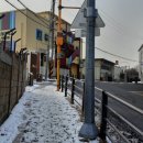 고려대학교어린이집 이미지