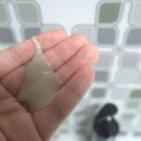 앤비앙 | 탈모샴푸 앤비앙 ( 탈모 기능성샴푸 ) 사용 후기