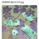 힐튼모텔 | 힐튼 오키나와 세소코 리조트 오션뷰 객실 숙박 후기