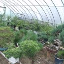 푸른들농장 이미지