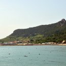 바다정원 이미지