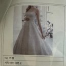 왕비디오 | 전주 웨딩스퀘어 2025 S/S 드레스쇼 후기