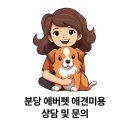 에버펫 동물병원 이미지