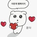 [원주] 원주 다양한 주류가 있는 주류마켓! 원주 주아킹 방문 후기